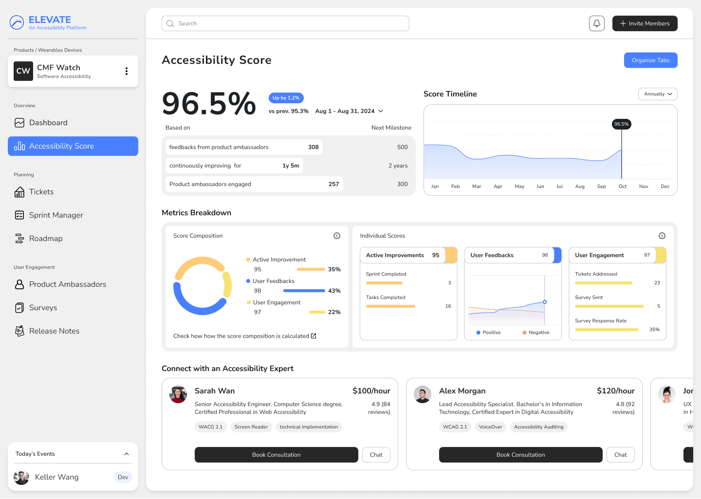 Accessibility Score